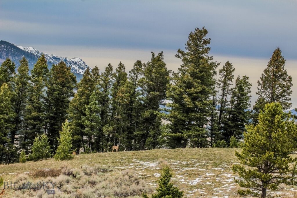 , Bozeman MT 59715