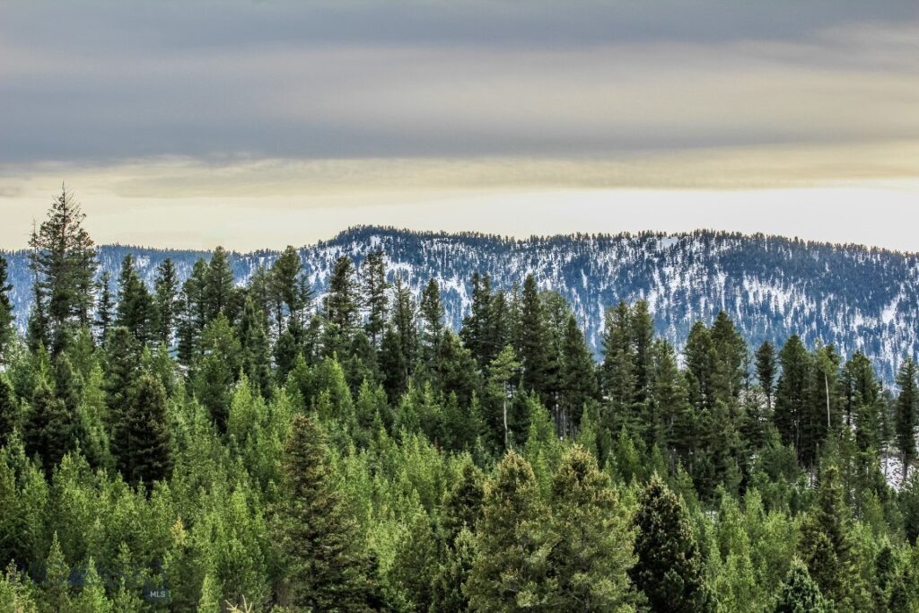 , Bozeman MT 59715