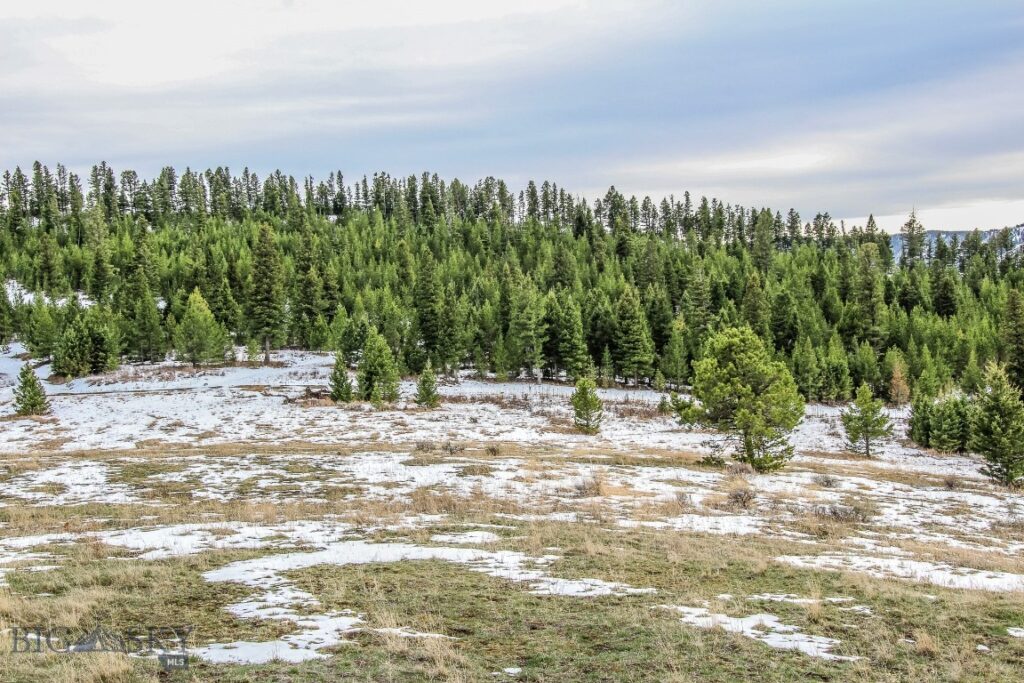 , Bozeman MT 59715