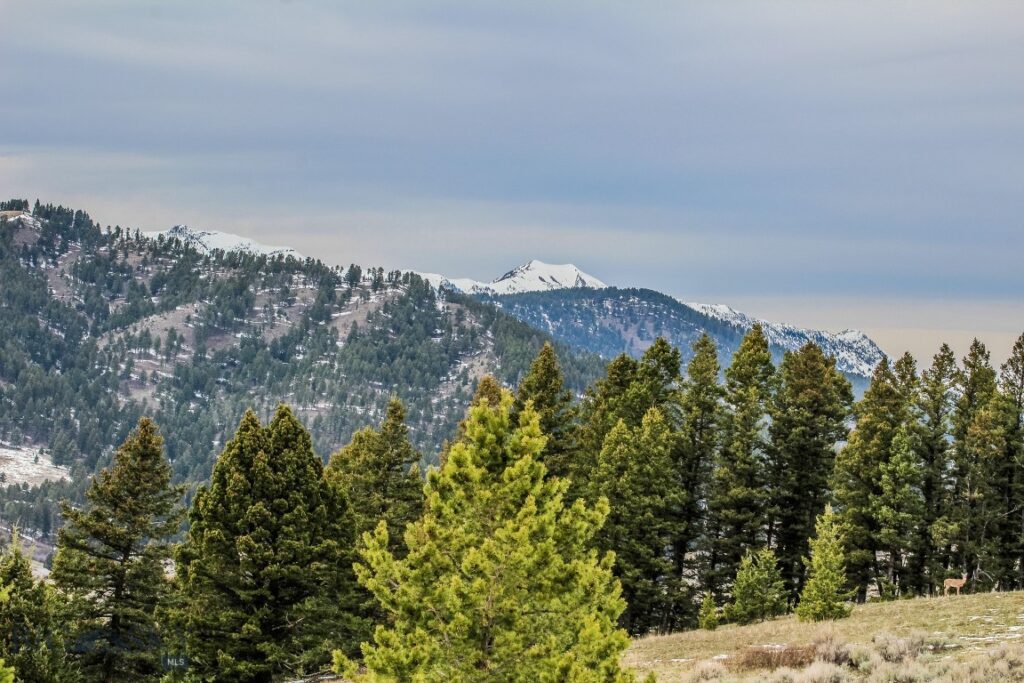 , Bozeman MT 59715