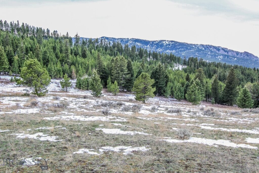 , Bozeman MT 59715