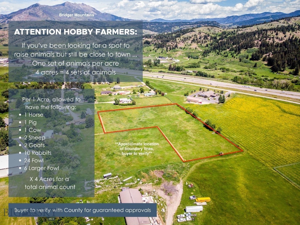 Tract 3 Canyon View Road, Bozeman MT 59715