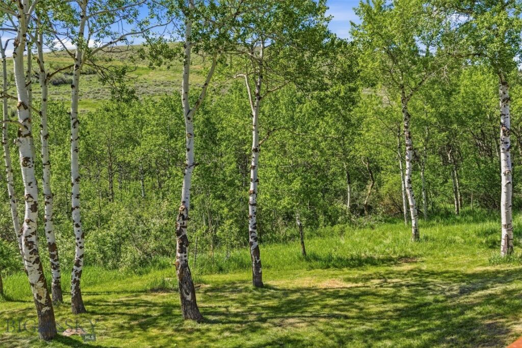 761 Sunny Bear Road, Bozeman MT 59715