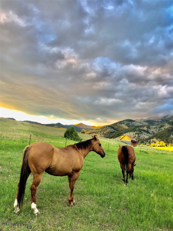 8350 Sypes Canyon Road, Bozeman MT 59715