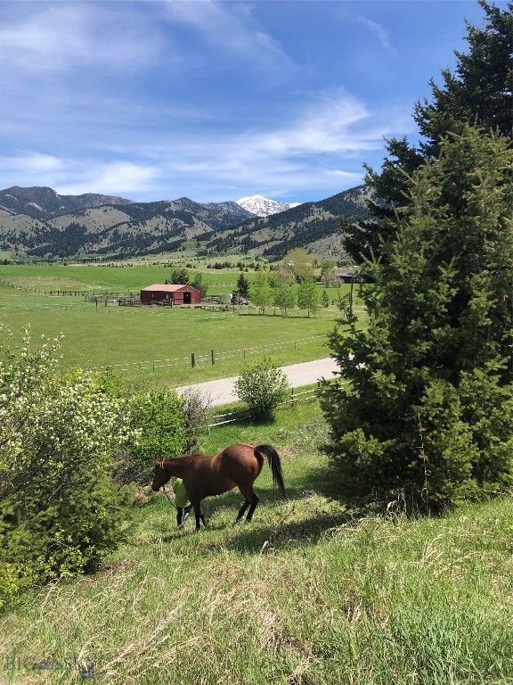 8350 Sypes Canyon Road, Bozeman MT 59715