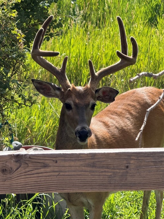 8350 Sypes Canyon Road, Bozeman MT 59715