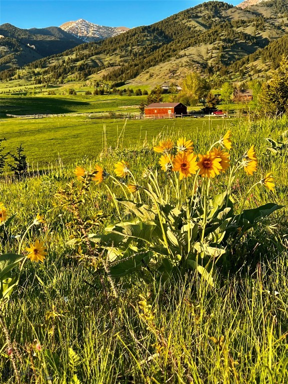 8350 Sypes Canyon Road, Bozeman MT 59715