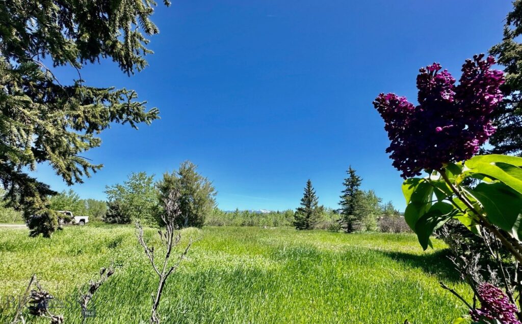 118 Dovetail Lane, Bozeman MT 59718
