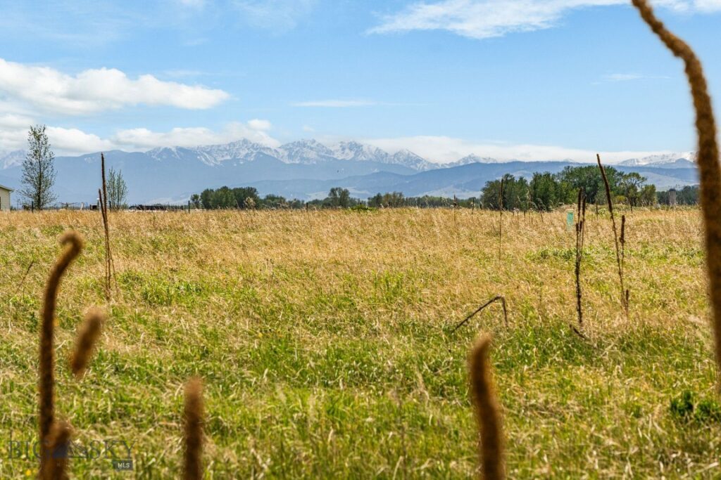 1875 Love Lane, Bozeman MT 59718