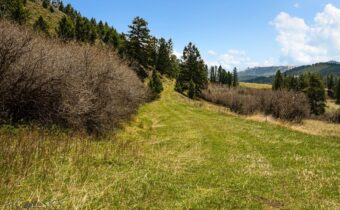 455 Harrison Meadow, Bozeman MT 59715