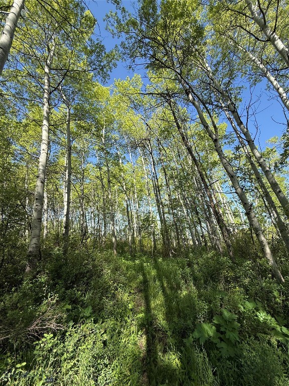 3030 Bridger Canyon Road, Bozeman MT 59715