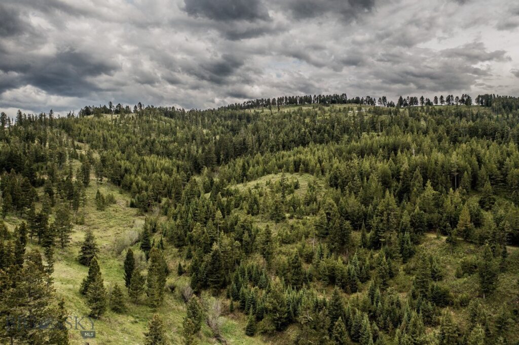 TBD Woodchuck Road, Bozeman MT 59715