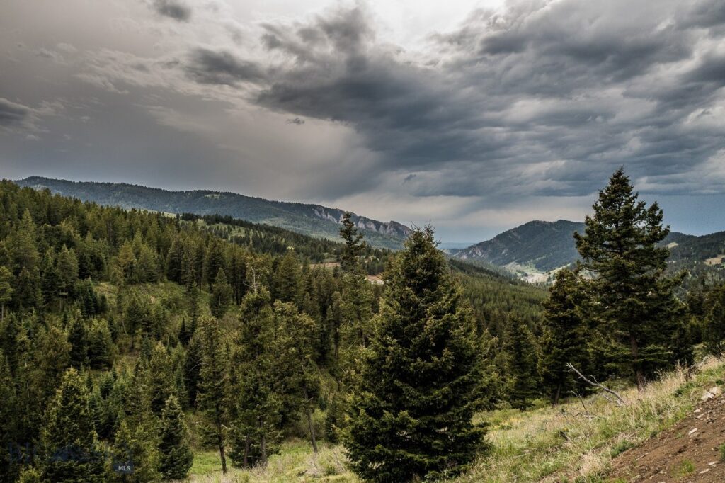 TBD Woodchuck Road, Bozeman MT 59715
