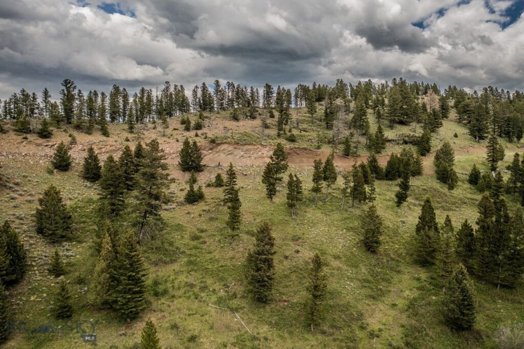 TBD Woodchuck Road, Bozeman MT 59715