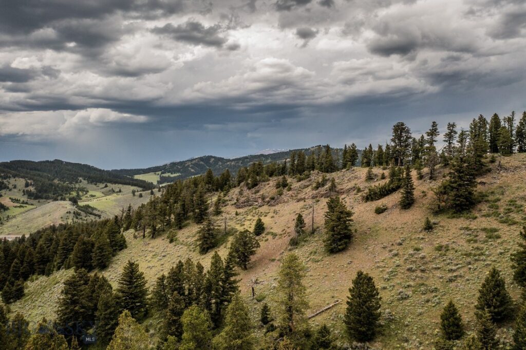 TBD Woodchuck Road, Bozeman MT 59715