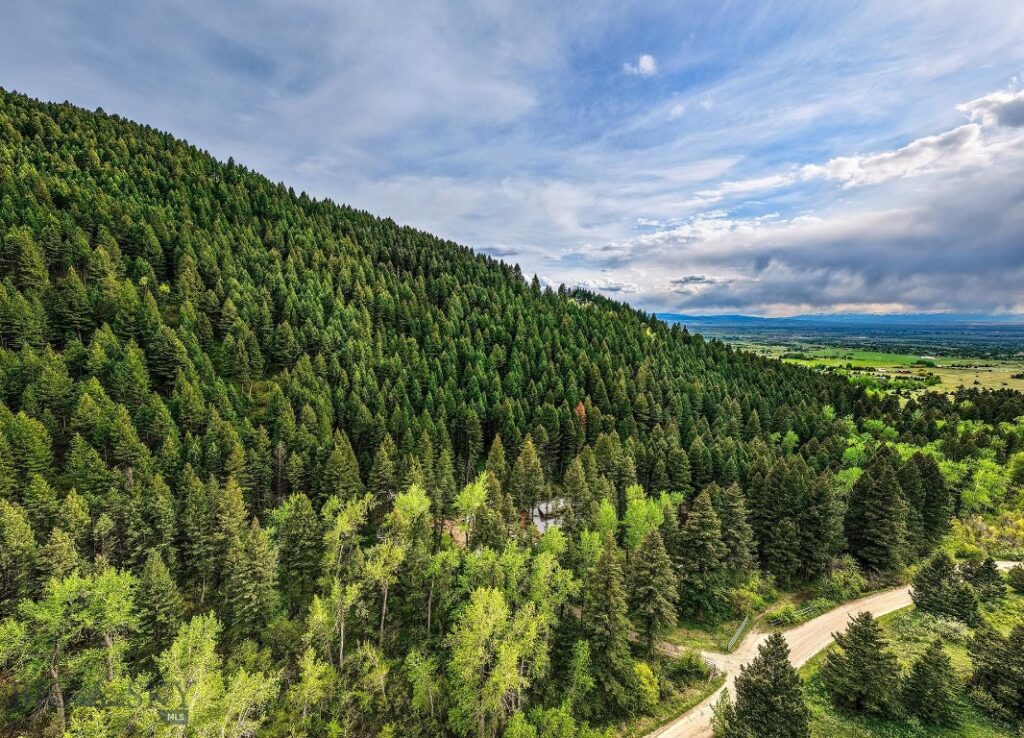 9440 Saddle Mountain Road, Bozeman MT 59715