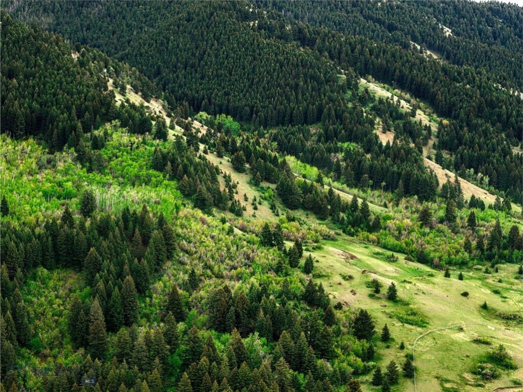 9440 Saddle Mountain Road, Bozeman MT 59715