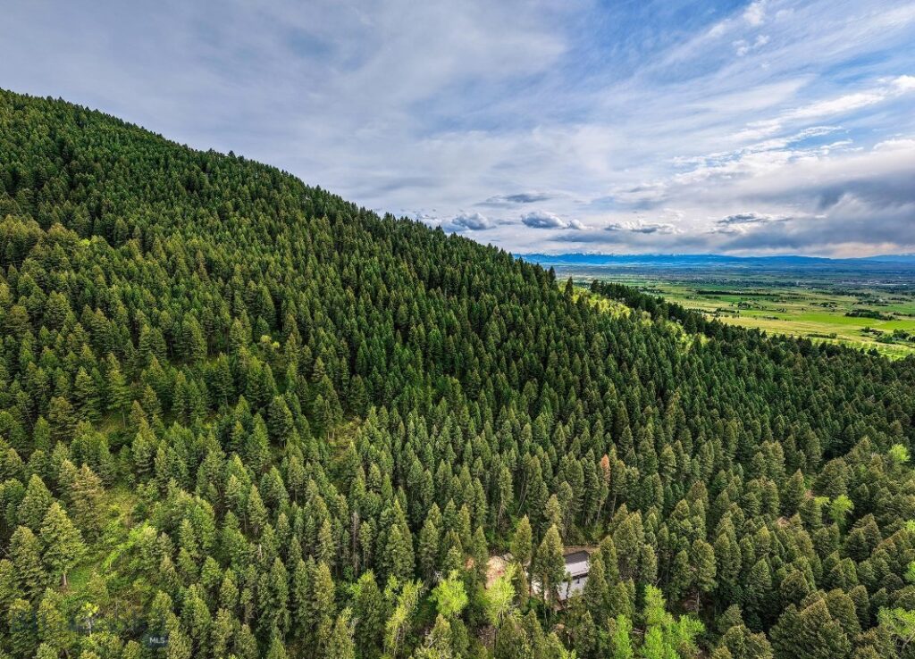 9440 Saddle Mountain Road, Bozeman MT 59715