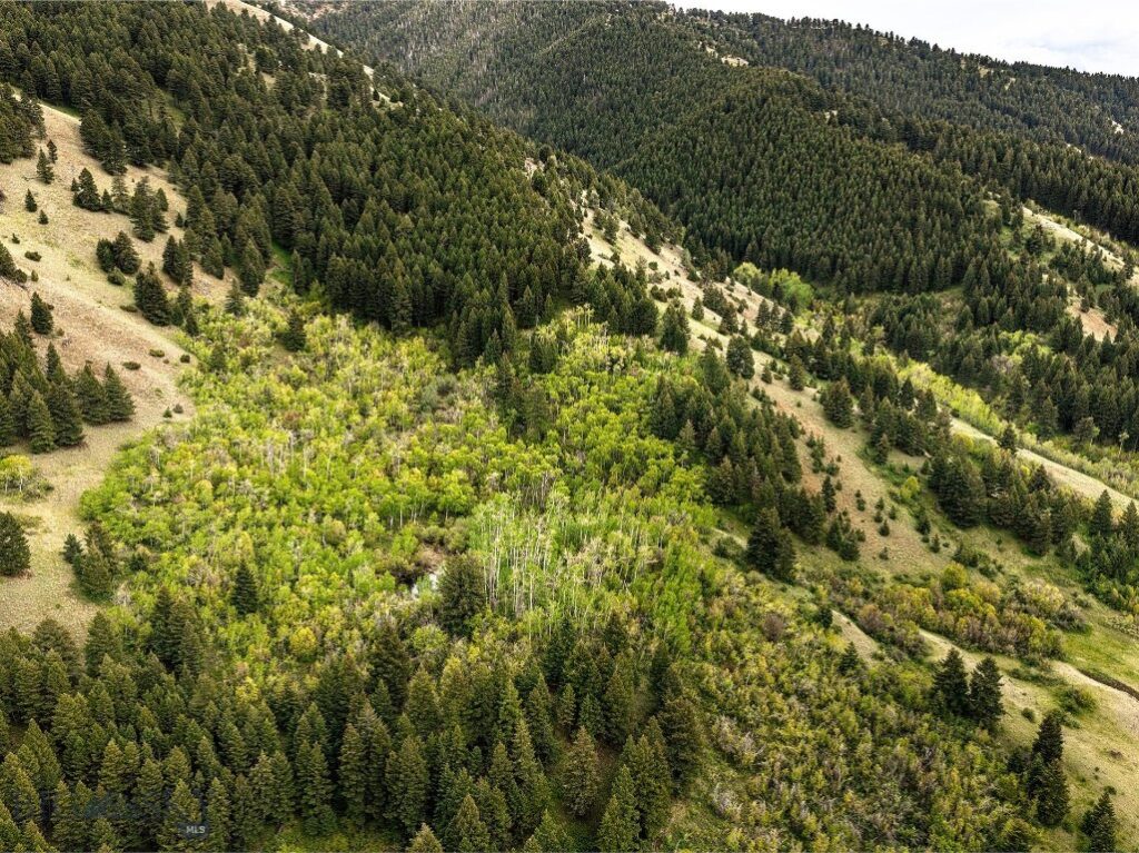 9440 Saddle Mountain Road, Bozeman MT 59715