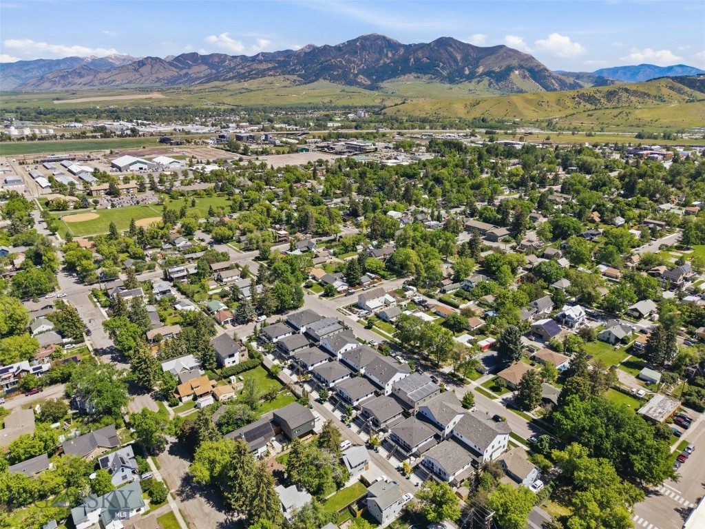 463 N Willson Avenue, Bozeman MT 59715