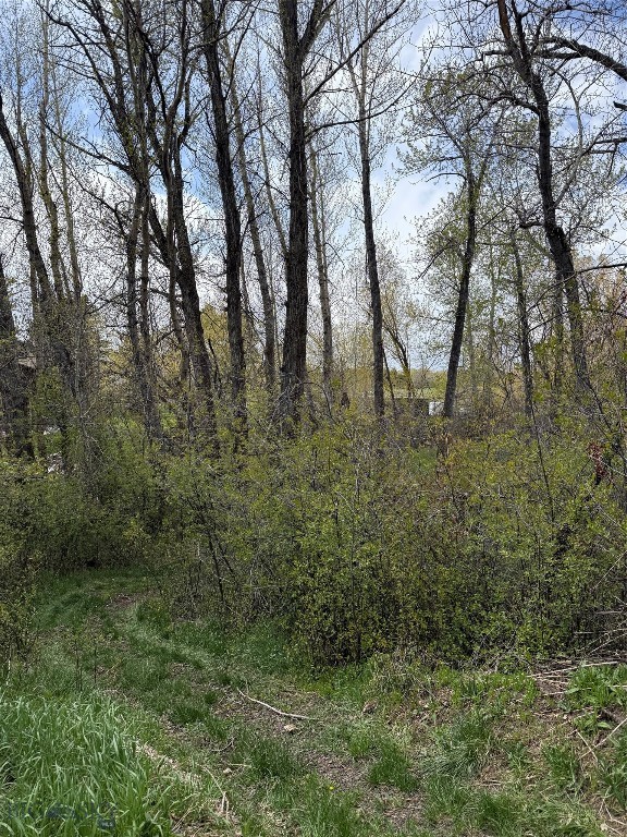 1-2 Sourdough Road, Bozeman MT 59715