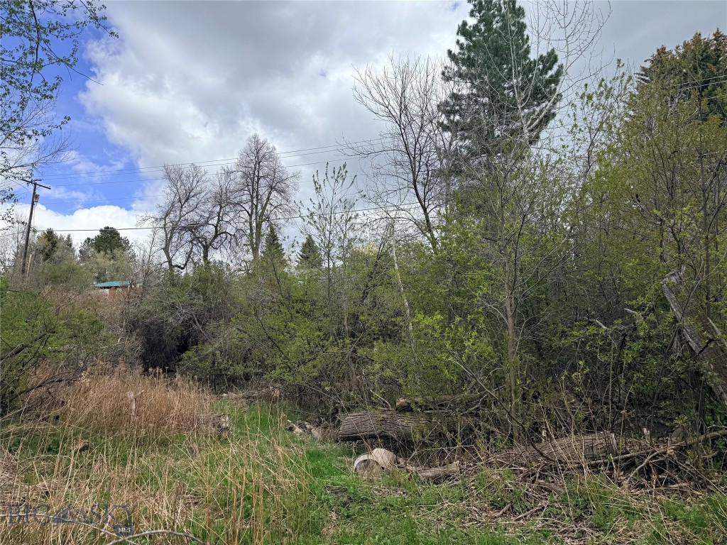 1-2 Sourdough Road, Bozeman MT 59715