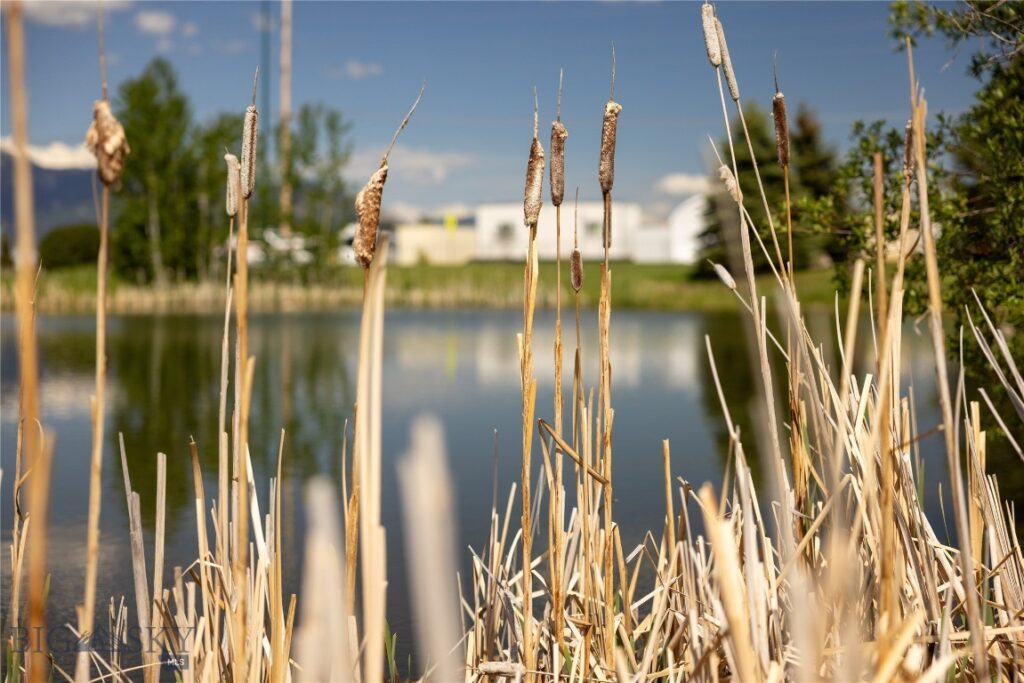 4754 Vine Street, Bozeman MT 59718