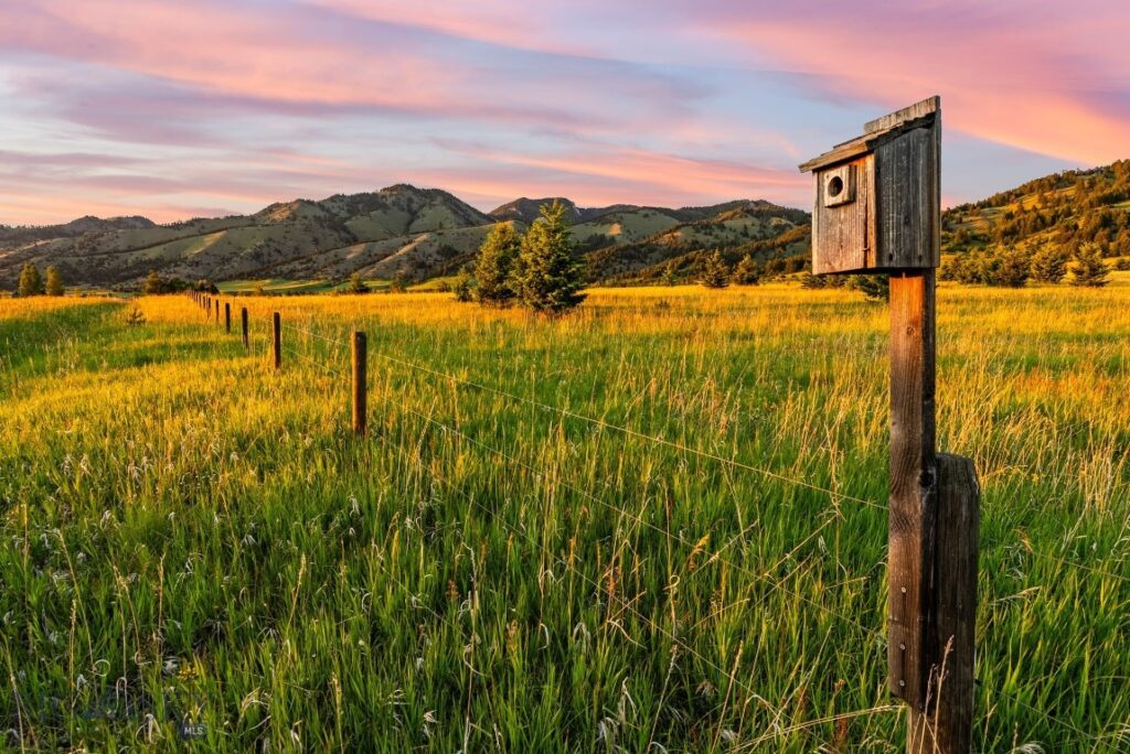 TBD Sypes Canyon Spur Road, Bozeman MT 59715