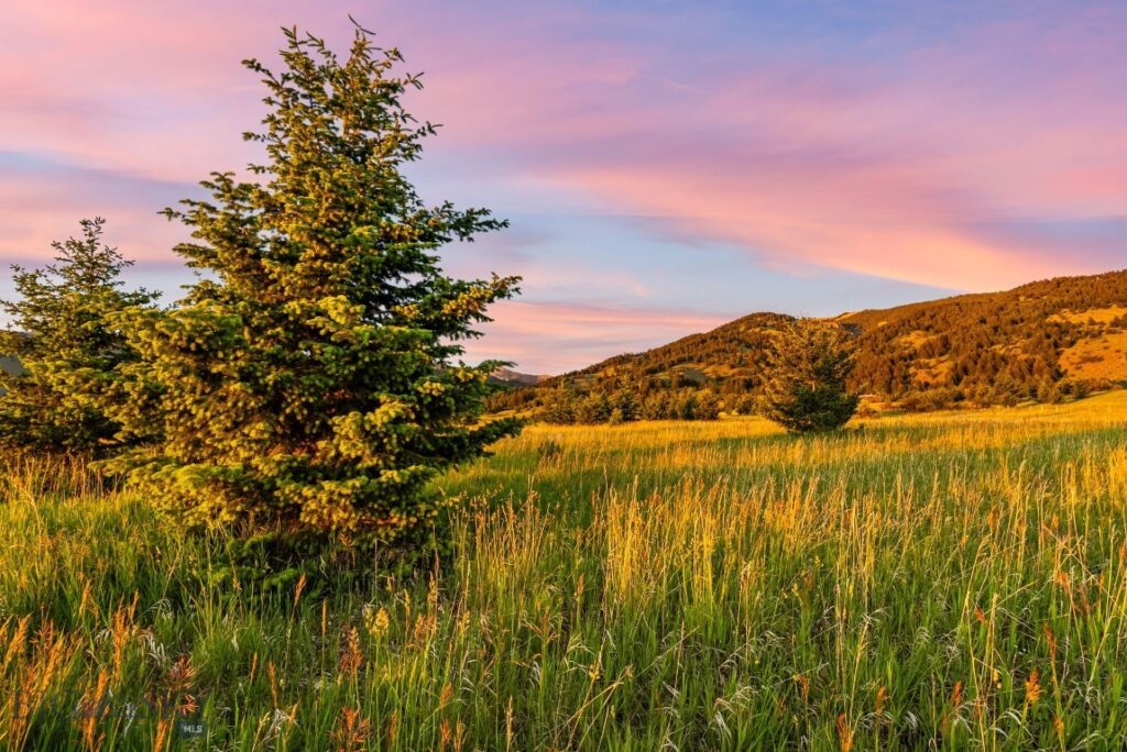 TBD Sypes Canyon Spur Road, Bozeman MT 59715