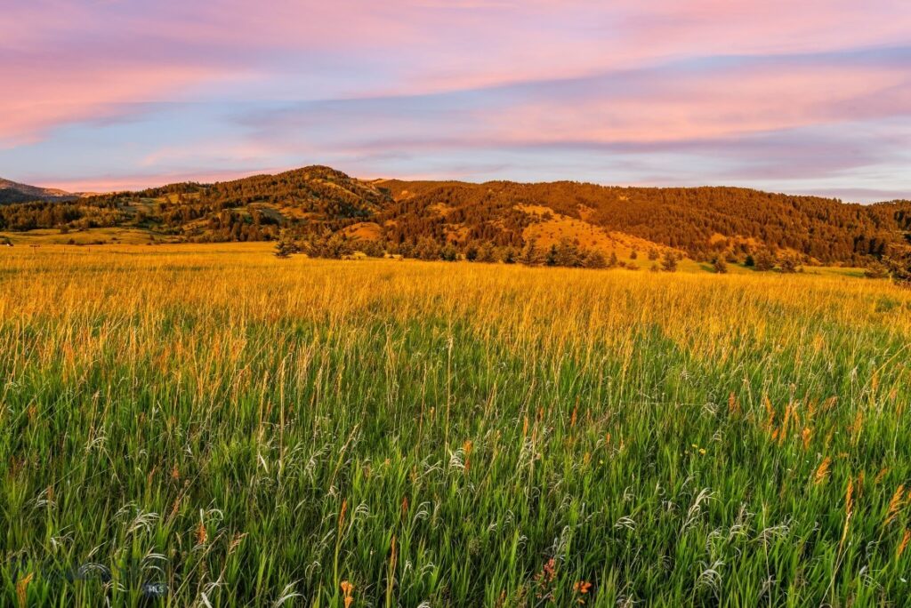 TBD Sypes Canyon Spur Road, Bozeman MT 59715