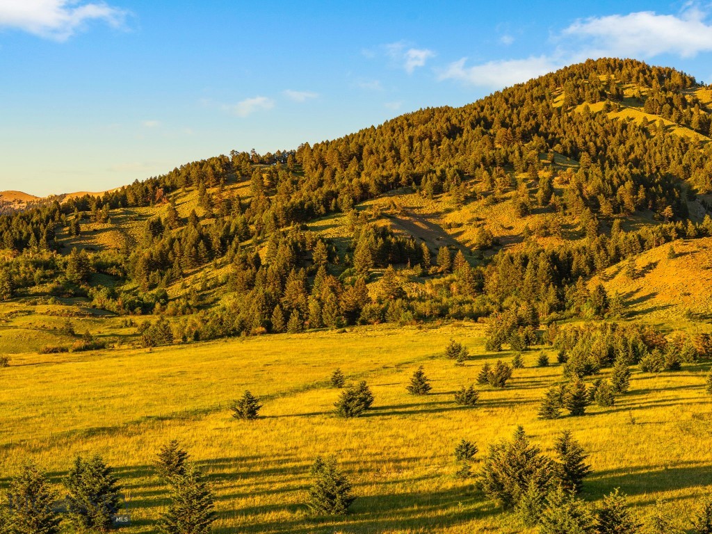 TBD Sypes Canyon Spur Road, Bozeman MT 59715