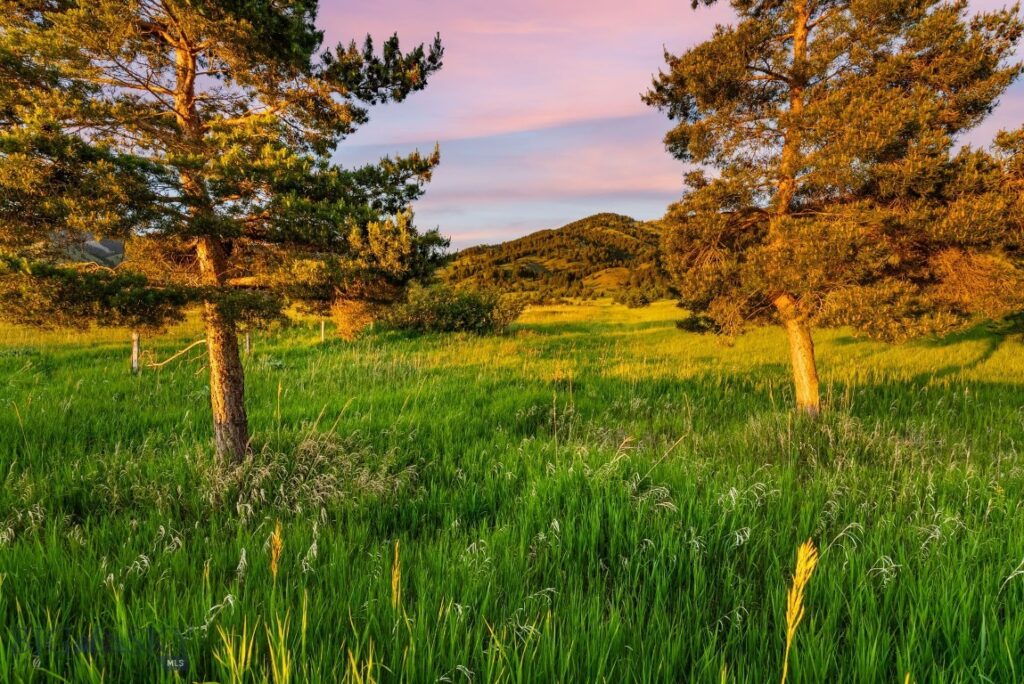 TBD Sypes Canyon Spur Road, Bozeman MT 59715