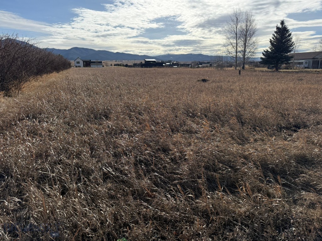 TBD Golden Trout Way, Bozeman MT 59715