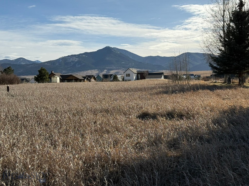 TBD Golden Trout Way, Bozeman MT 59715