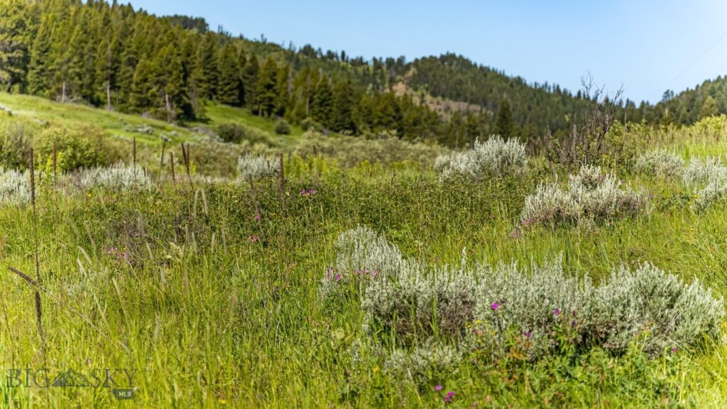 TBD Woodchuck Road, Bozeman MT 59715