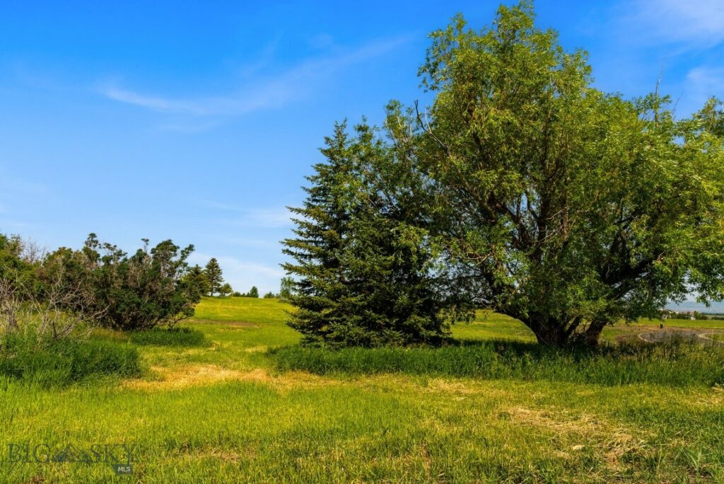 TBD Lot 17 Boreal Way, Bozeman MT 59715