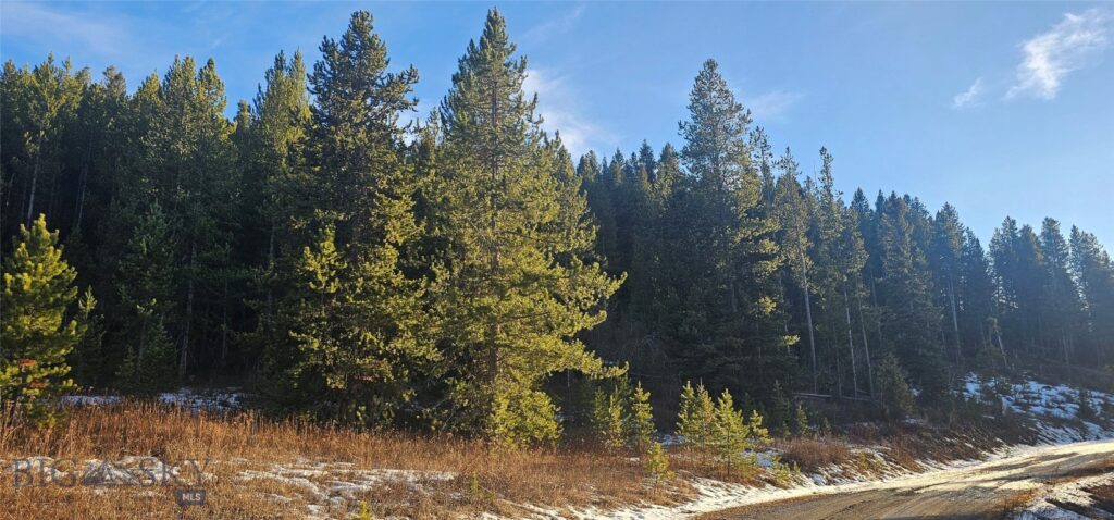 Tract 11 Mountain Moose Road, Bozeman MT 59715
