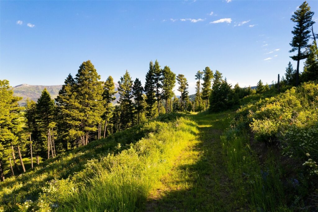 Ranch 1 North Pass Ranches, Bozeman MT 59715