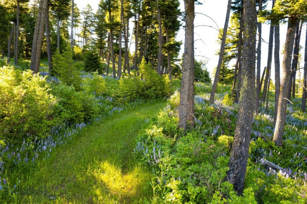 Ranch 1 North Pass Ranches, Bozeman MT 59715