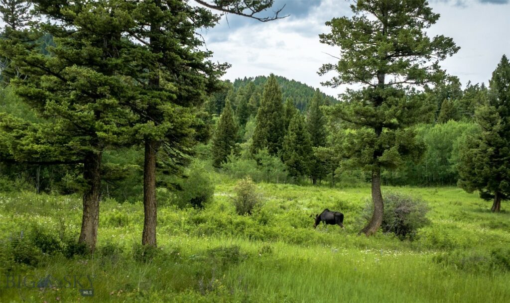 Ranch 1 North Pass Ranches, Bozeman MT 59715