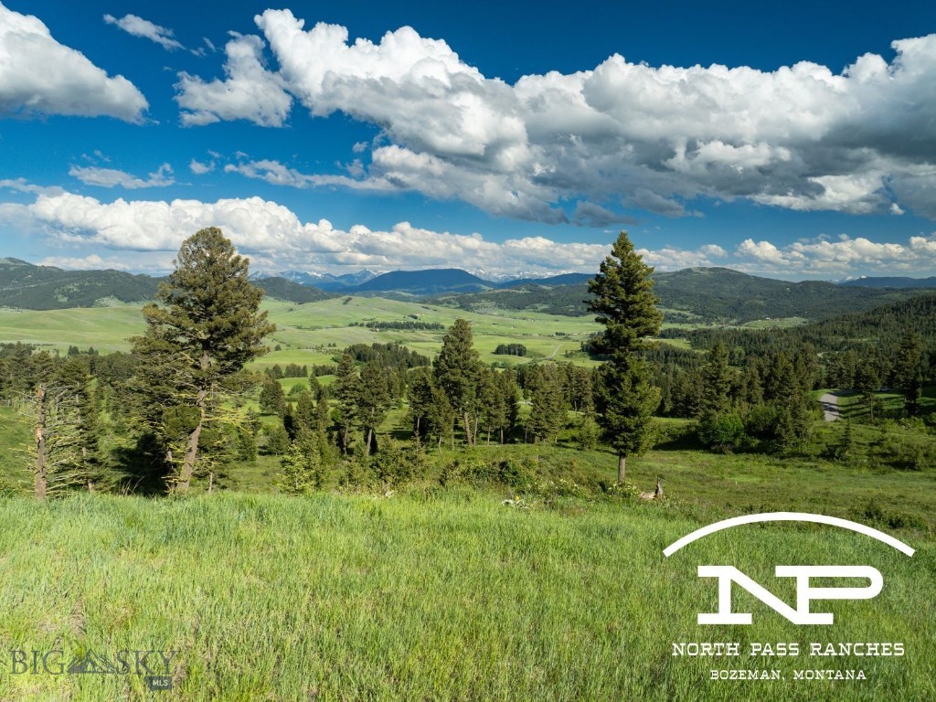 Ranch 11 North Pass Ranches, Bozeman MT 59715