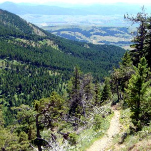 Sypes Canyon Trail