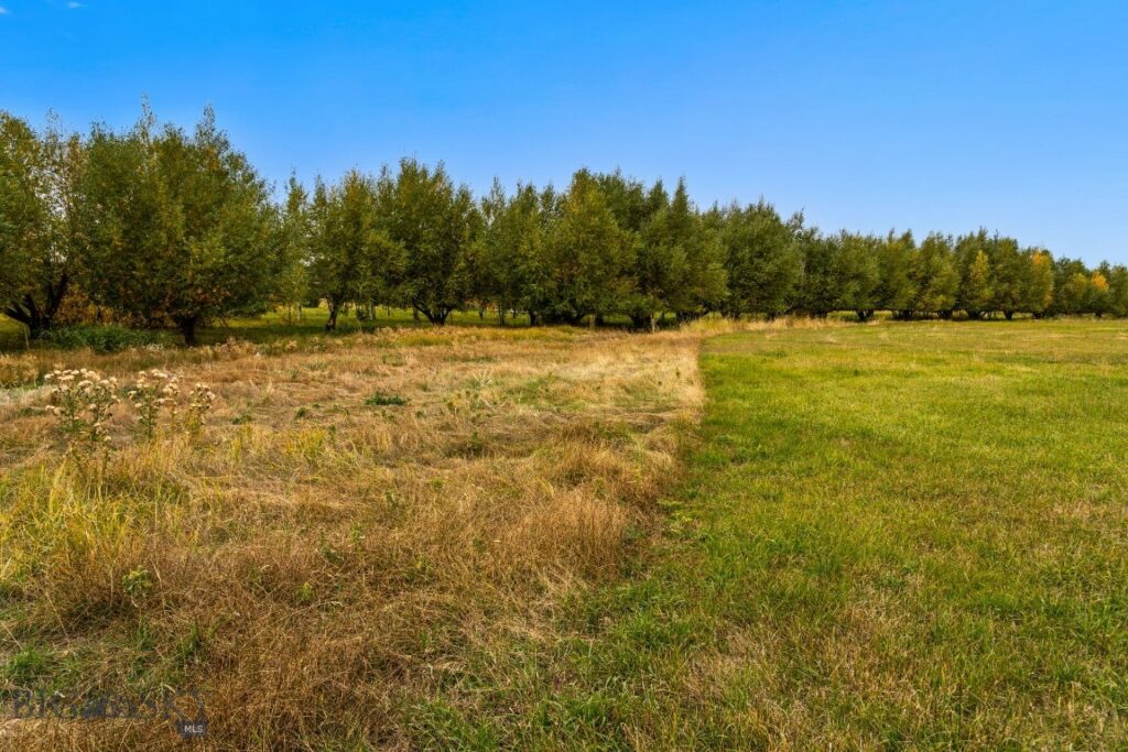 TBD 19th Avenue, Bozeman MT 59718