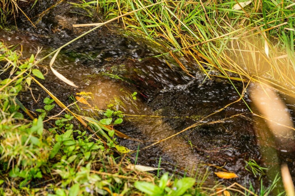 TBD 19th Avenue, Bozeman MT 59718