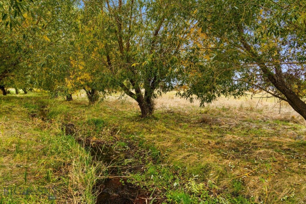 TBD 19th Avenue, Bozeman MT 59718