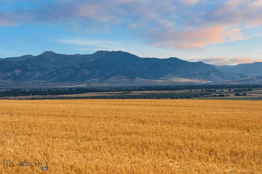 TBD Axtell Anceny Road, Bozeman MT 59718