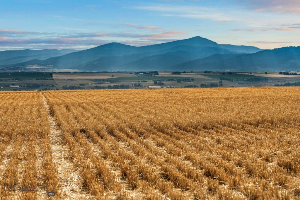 TBD Axtell Anceny Road, Bozeman MT 59718