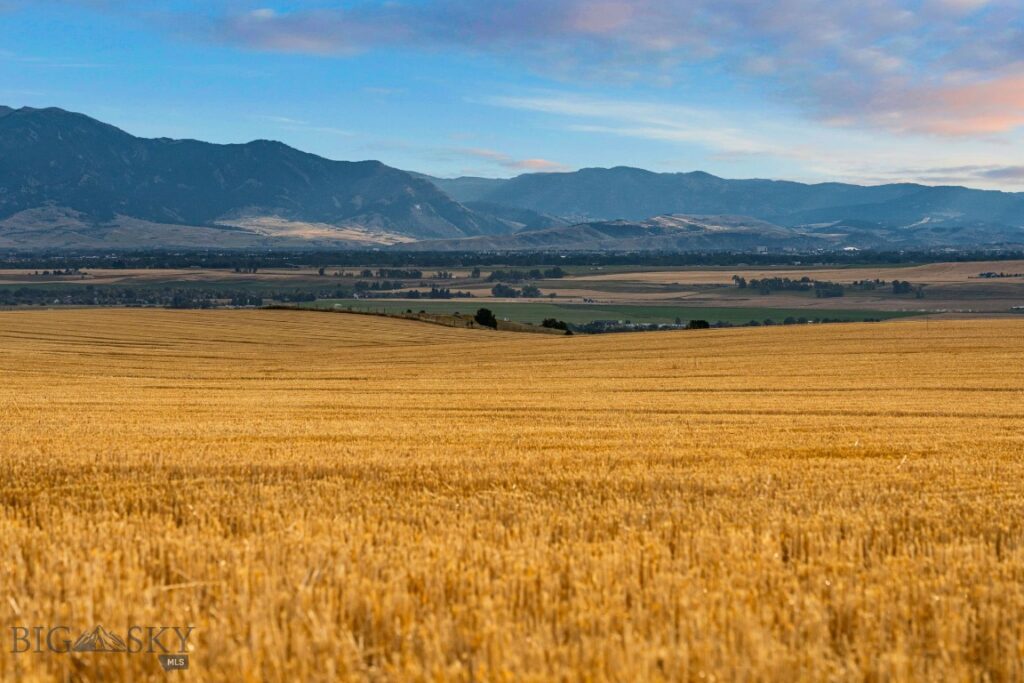 TBD Axtell Anceny Road, Bozeman MT 59718