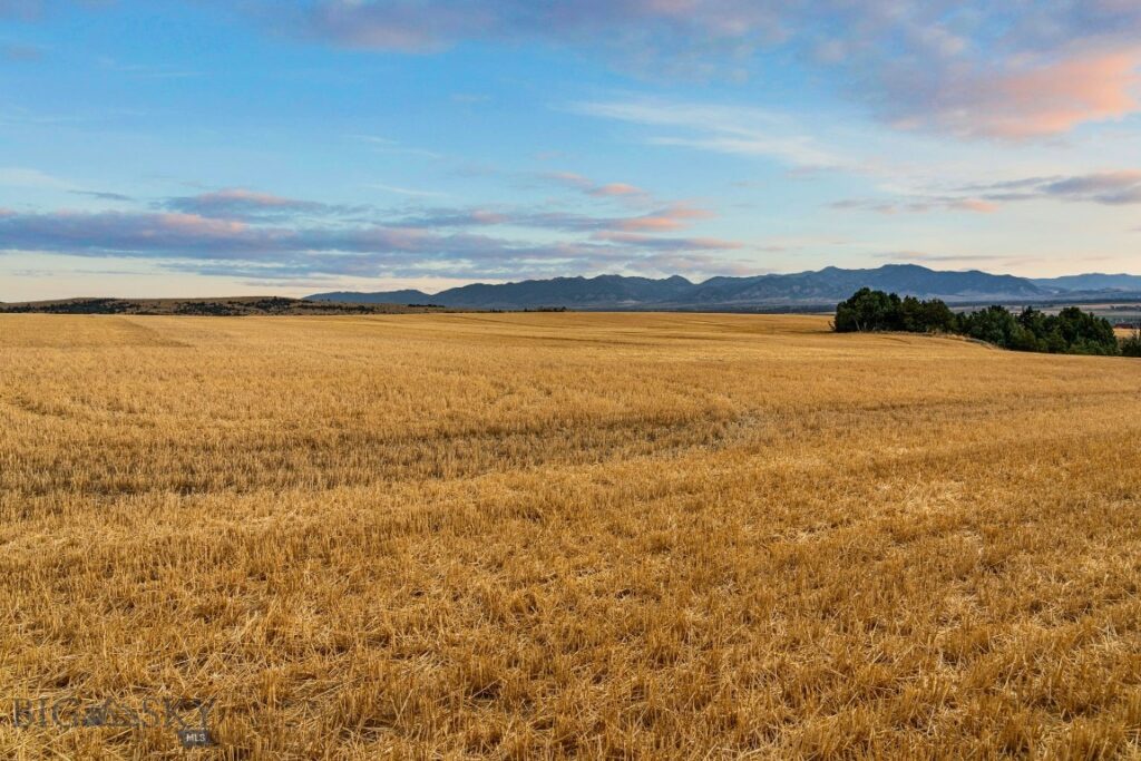 TBD Axtell Anceny Road, Bozeman MT 59718