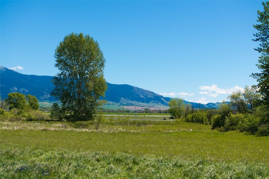 TBD E Riparian Way, Bozeman MT 59718